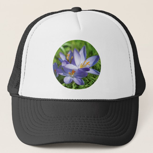 Crocus Truckerkappe (Vorderseite)