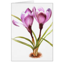 "Crocus violet" carte fine art vierge pour l'usage