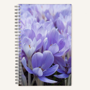 Crocus Wrapped Canvas Print Notizbuch