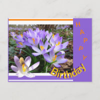 Crocusses mit Bee Happy Birthday Postcard