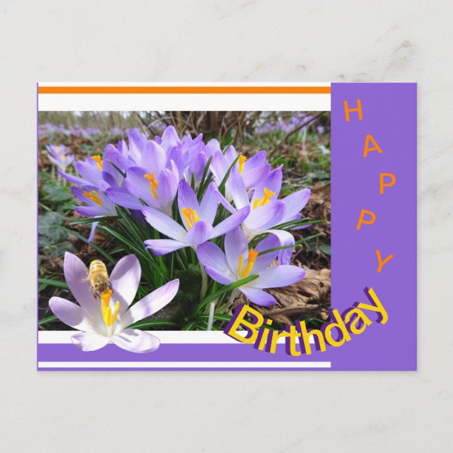 Crocusses mit Bee Happy Birthday Postcard Postkarte (Vorderseite)