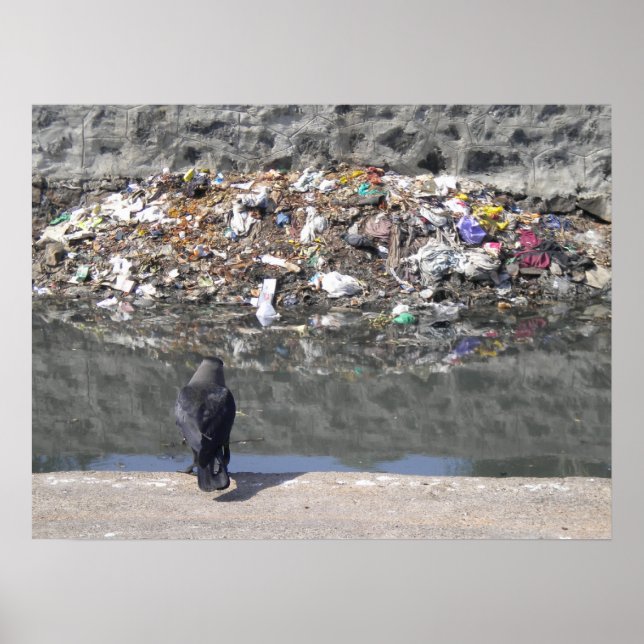 Crohs Fokus auf Müllplakat Poster (Vorne)