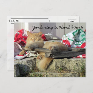 Croisement - Simba la carte postale de jardinage d