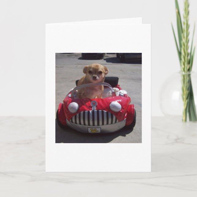 Croisière par des cartes (Devant)