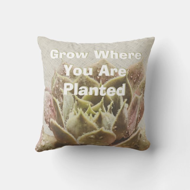 Croissance Succulente Où Vous Êtes Planté Coussin (Verso)