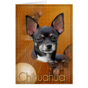 Croissant de lune - Isabella