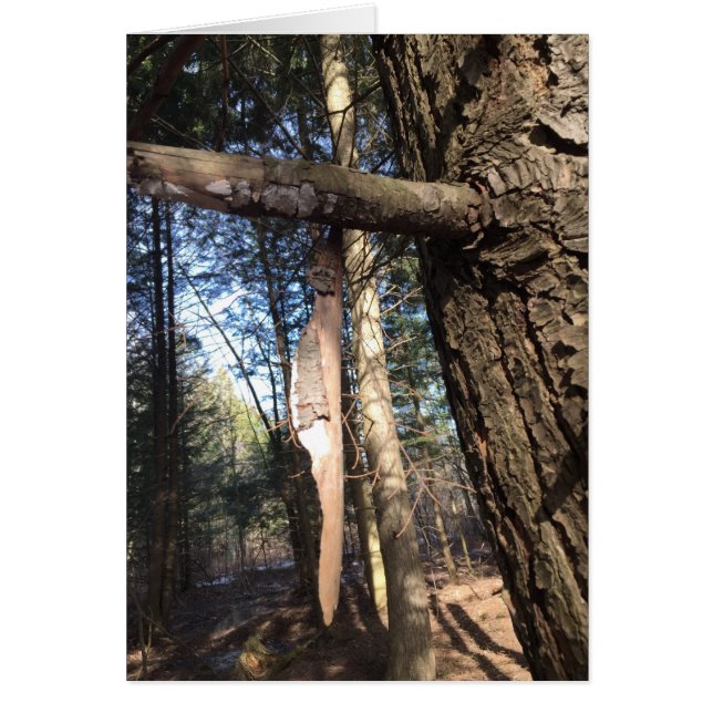 Croix de la paix (Devant)