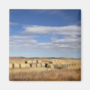 Crook County, Hay Bales Magnet