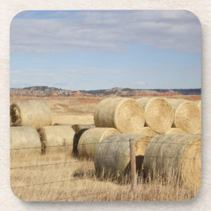 Crook County, Hay Bales Untersetzer