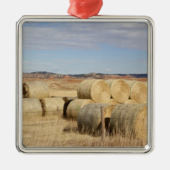 Crook County, Heu-Ballen 2 Silbernes Ornament (Vorne)