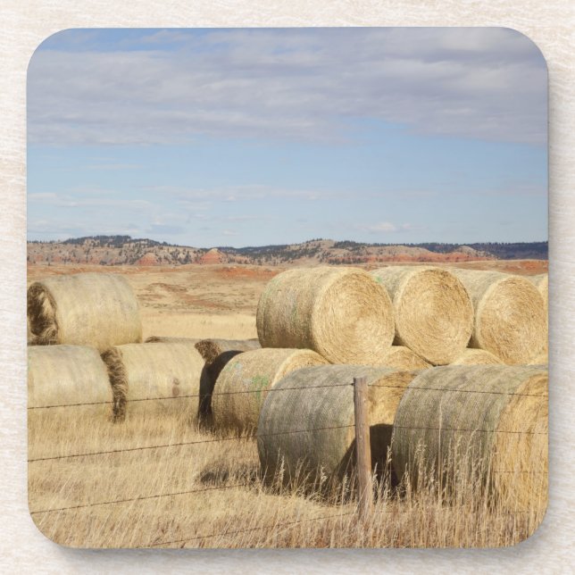 Crook County, Heu-Ballen 2 Untersetzer (Vorderseite)