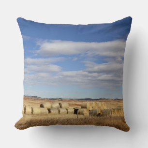 Crook County, Heu-Ballen Kissen