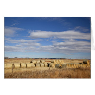 Crook Landkreis, Hay Bales