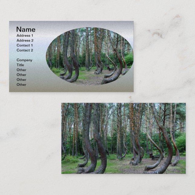 Crooked Forest - Polen Visitenkarte (Vorne/Hinten)
