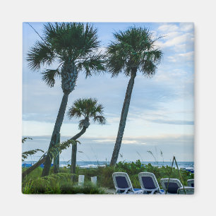 Crooked Palm Trees Magnet