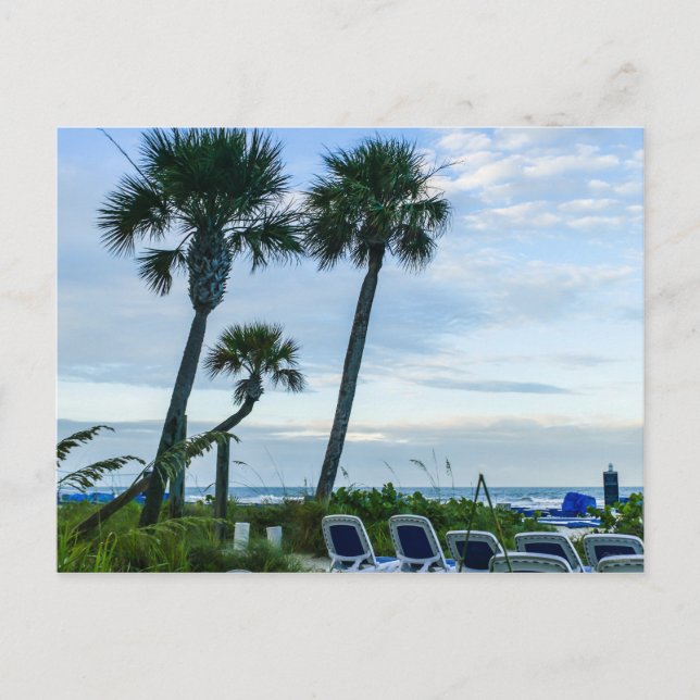 Crooked Palm Trees Postkarte (Vorderseite)