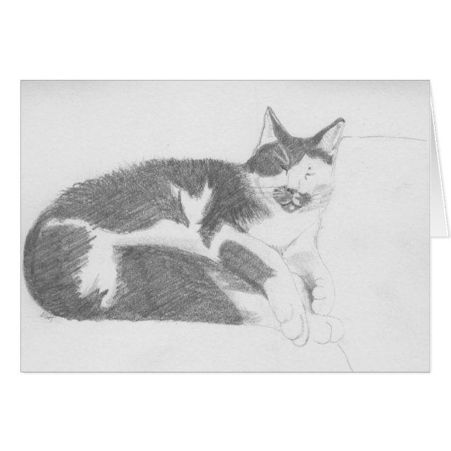 Croquis de chat de sommeil (Devant Horizontal)