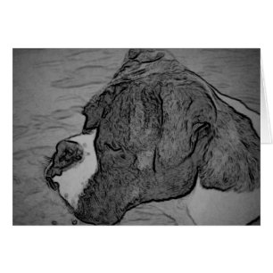 Croquis de chien de boxeur