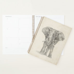 Croquis éléphant