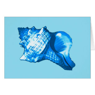 Croquis en coquille de conque - cobalt et bleu cie