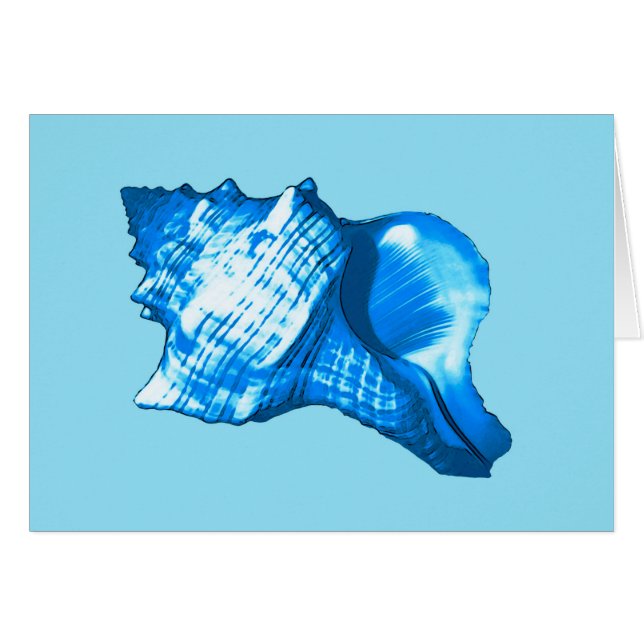 Croquis en coquille de conque - cobalt et bleu cie (Devant Horizontal)
