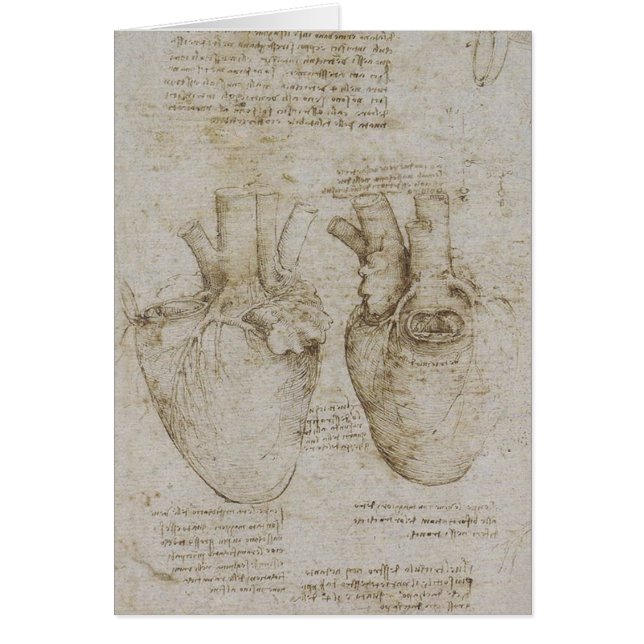 Croquis humains d'anatomie du coeur de da Vinci (Devant)