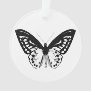 Croquis papillon, noir et blanc