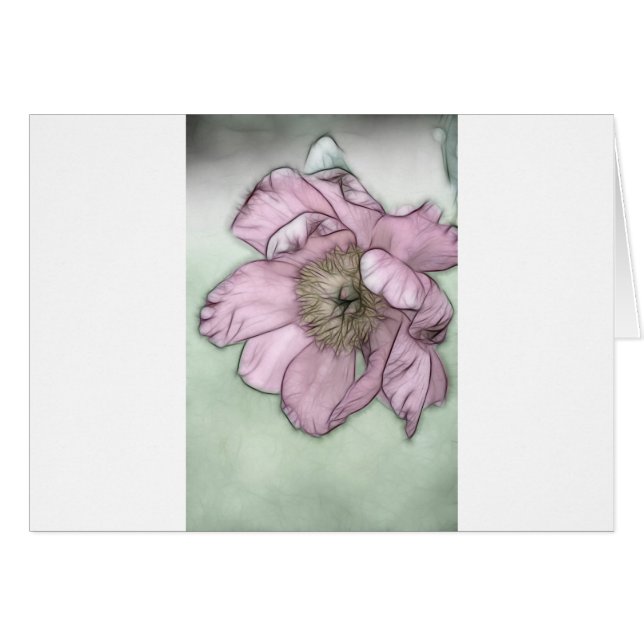 Croquis rose de fleur de pivoine (Devant horizontal)