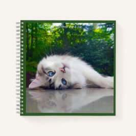 Cross-eyed cat notizbuch