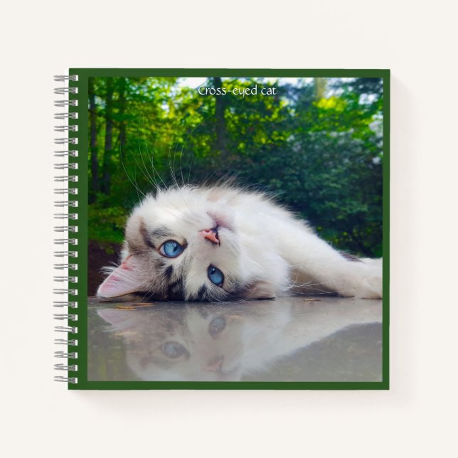 Cross-eyed cat notizbuch (Vorderseite)