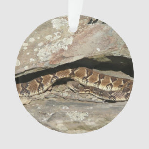 Crotale dans le parc national de Shenandoah