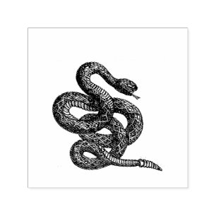 Crotalus Cascavella Schlange (Giftige Grubenotter) Permastempel
