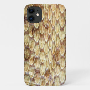 CROTALUS, DRUCKER RATTLESNAKE HAUTcreme Brown title_seo2