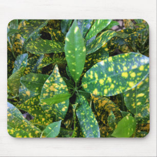 Croton Pflanze Mousepad