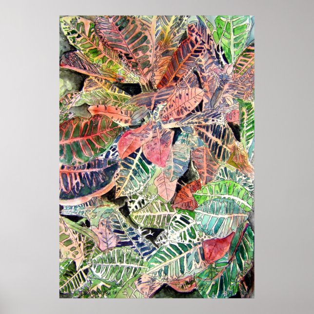 croton_Pflanze_painting Poster (Vorne)