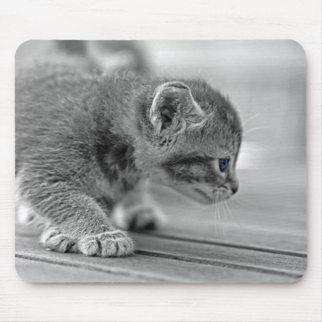 Crouching Kitten Mousepad (Vorne)