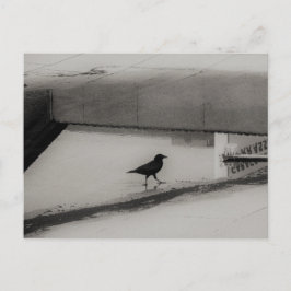 Crow and Water Puddle with Rooftop Reflections 3 Postkarte