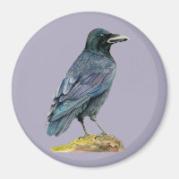 Crow-Aquarellmalerei