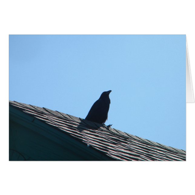 Crow auf Dach (Vorderseite (Horizontal))