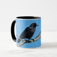 Crow auf Zweig