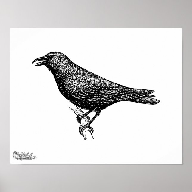 Crow Bird Art Poster (Vorne)