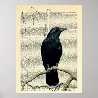 Crow, Crow Art, Raven, Edgar Allan Poe Poster