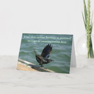 Crow Custom Ankündigung