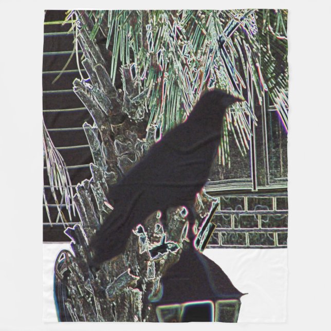 Crow-Erholungen auf Signalleuchten Fleecedecke (Vorderseite)