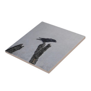 Crow Fliese