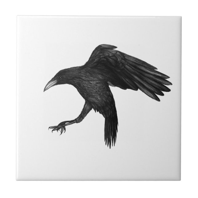 Crow Illustration Fliese (Vorderseite)