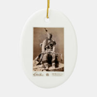Crow Indian 1880