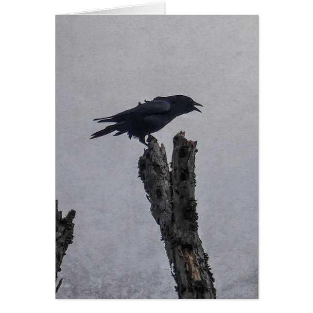 Crow-Karte (Vorne)