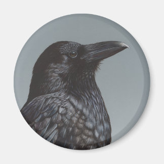 Crow Magnet