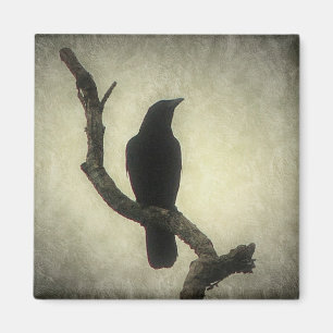 Crow Magnet